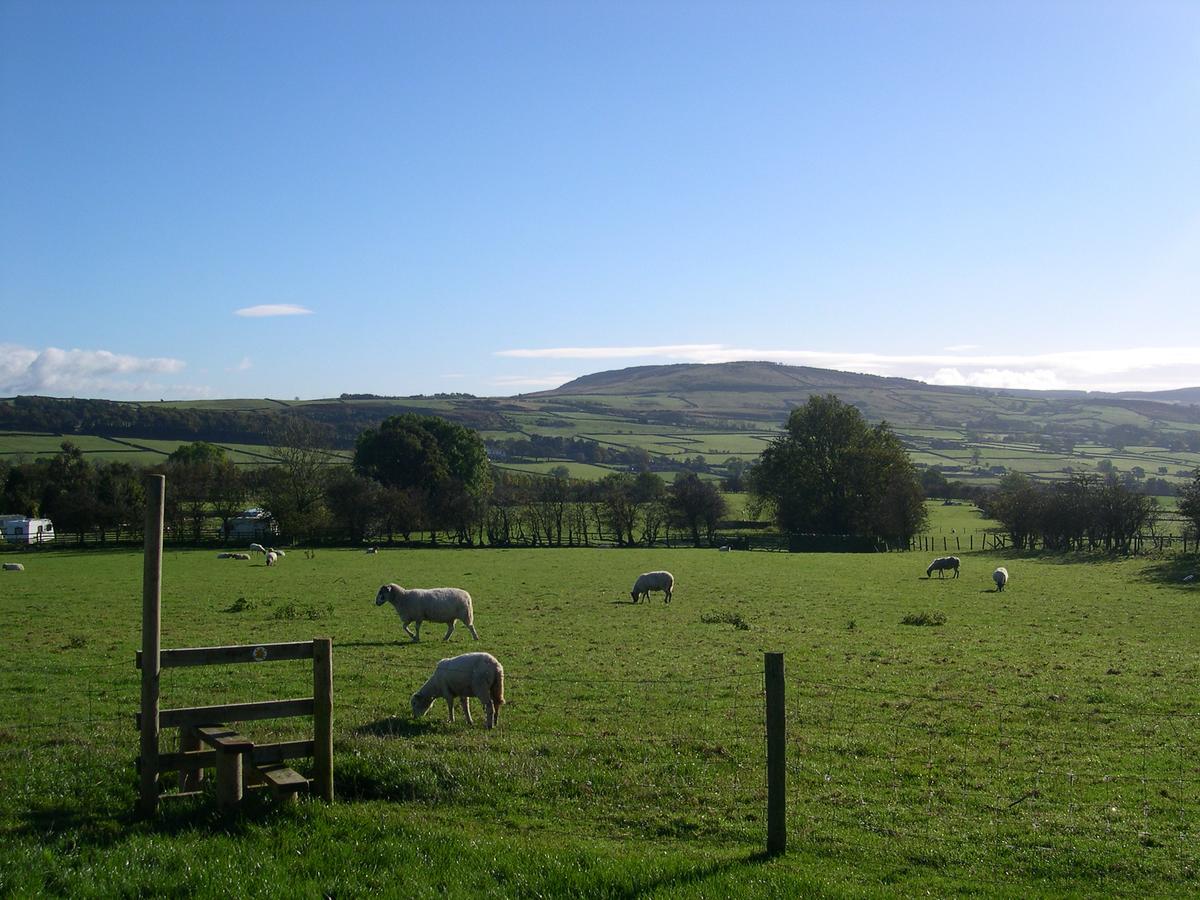 Pickersgill Manor Farm Bed and Breakfast Silsden Zewnętrze zdjęcie